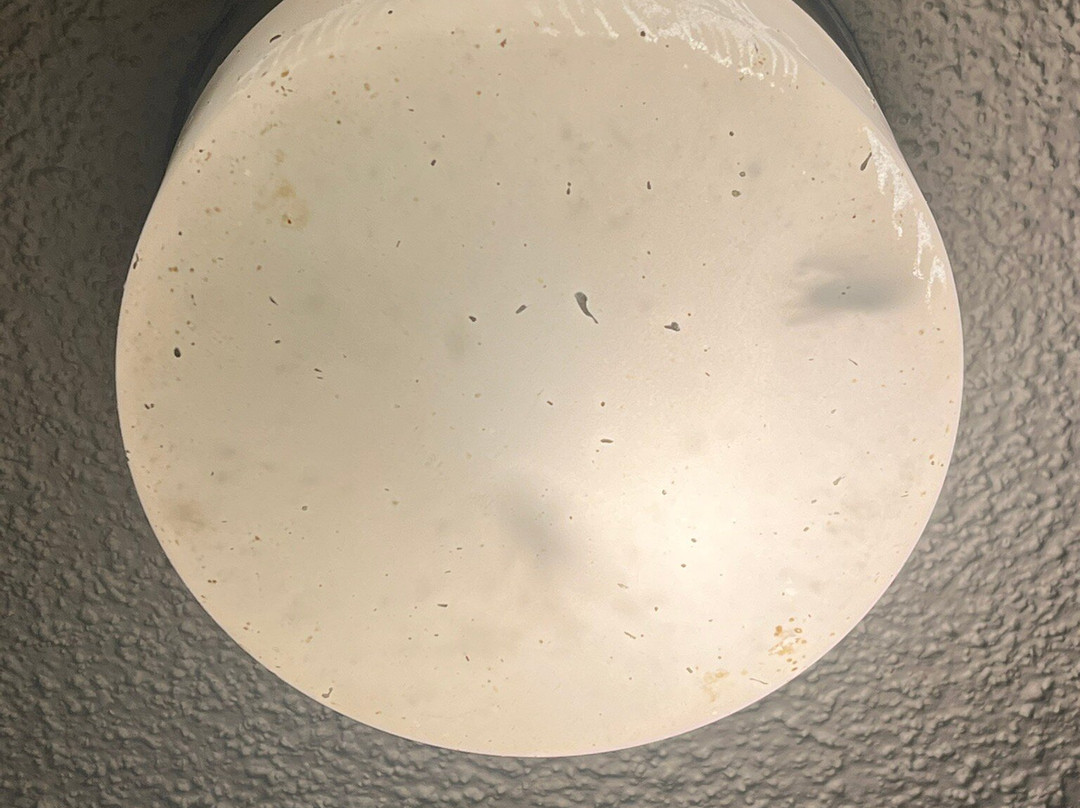 Super 8 by Wyndham Hancock MD主图