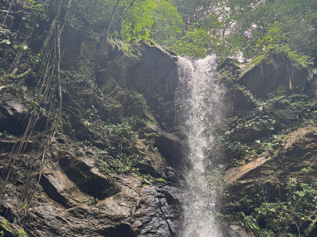 Avocat Waterfall-Blanchisseuse必去景点