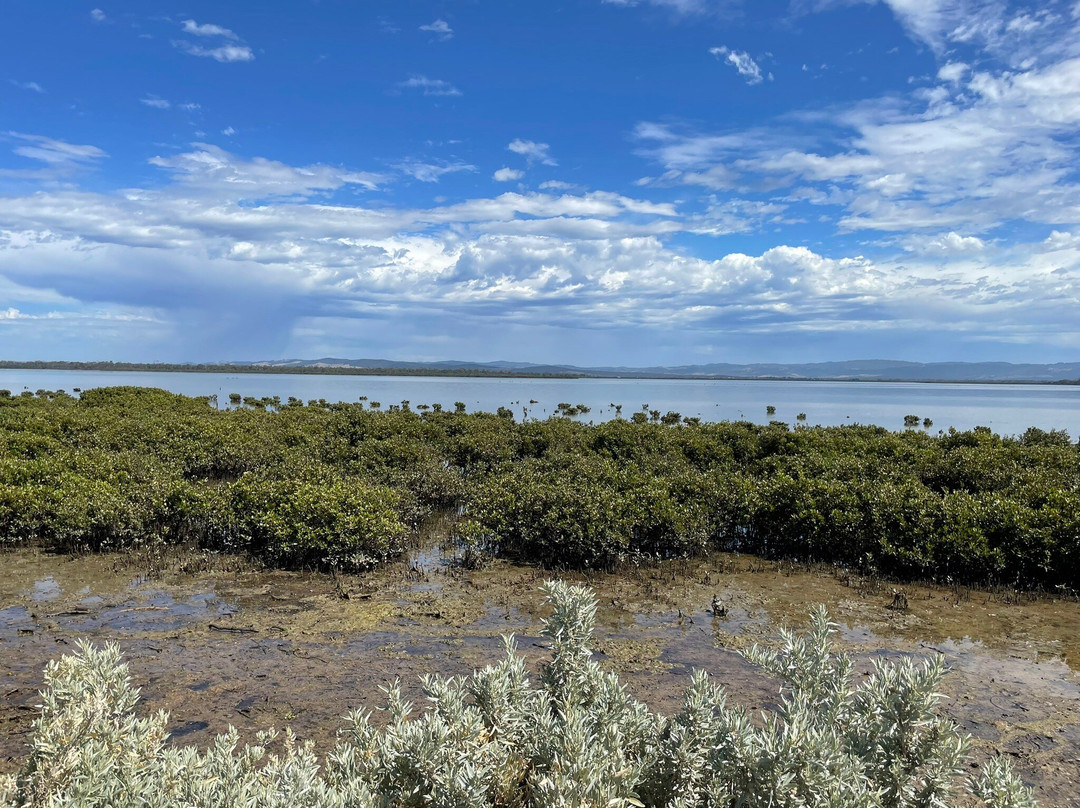 Old Port Walking Trail-Port Albert必去景点