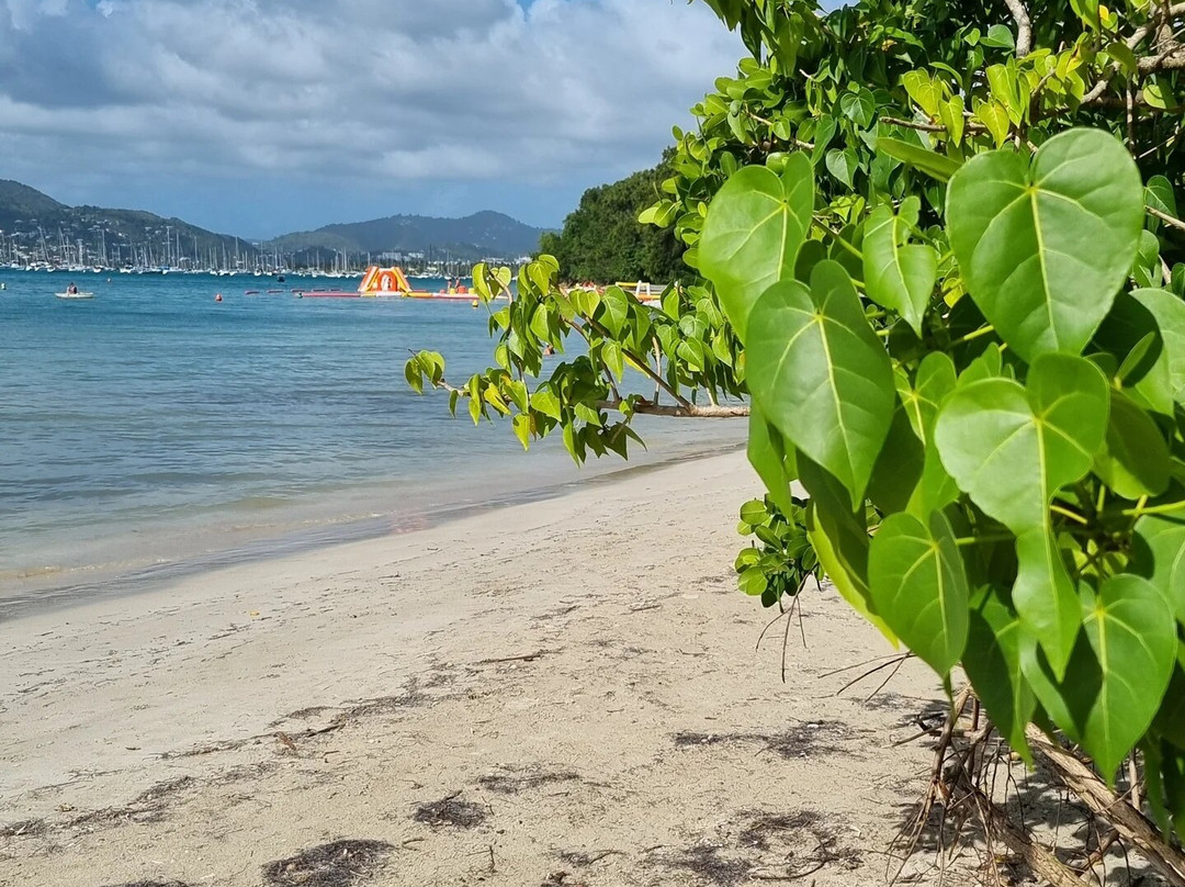 Anse Caritan Beach-Sainte-Anne必去景点