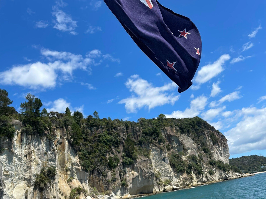 Mercury Bay Discoveries - River & Waterways Cruise景点图片