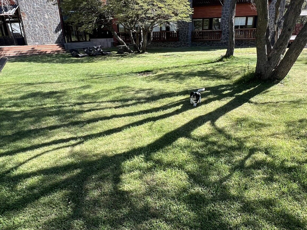 Hotel Vivo Montaña主图