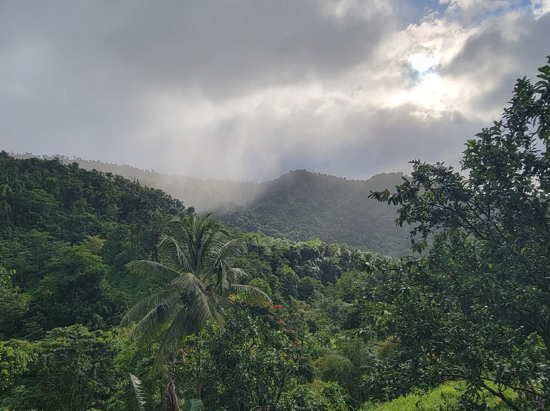 Syndicate Falls-Portsmouth必去景点