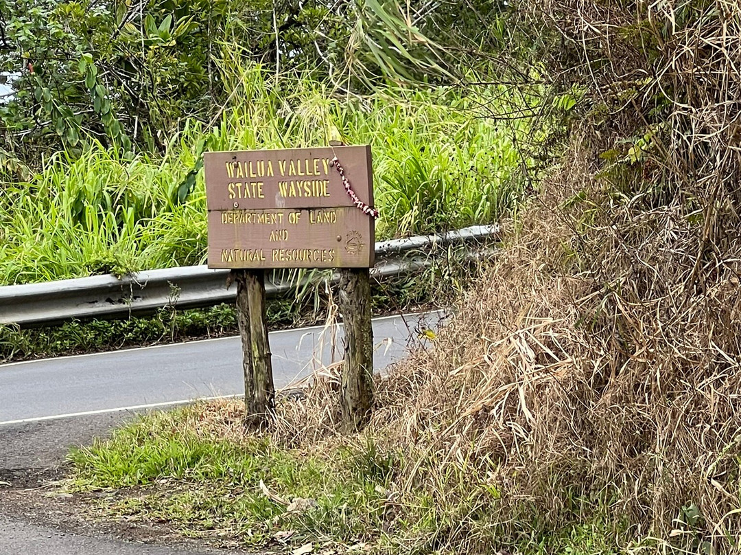 Wailua Valley State Wayside Park-库拉必去景点