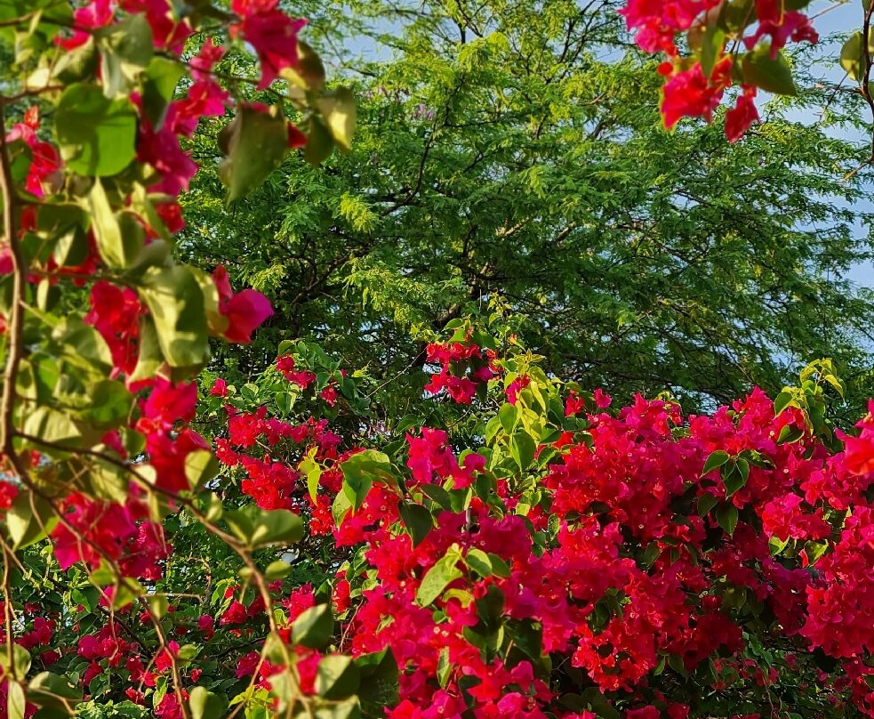 Pousada Fulo da Pedra主图