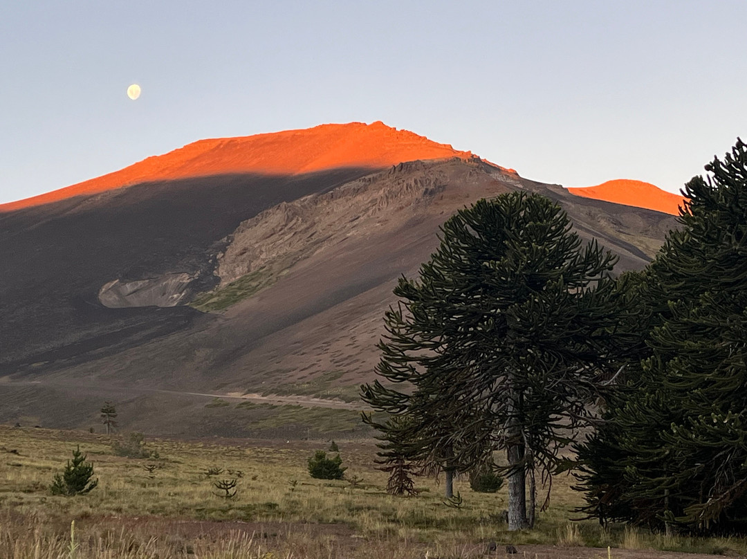 Valle Corralco Hotel & Spa主图