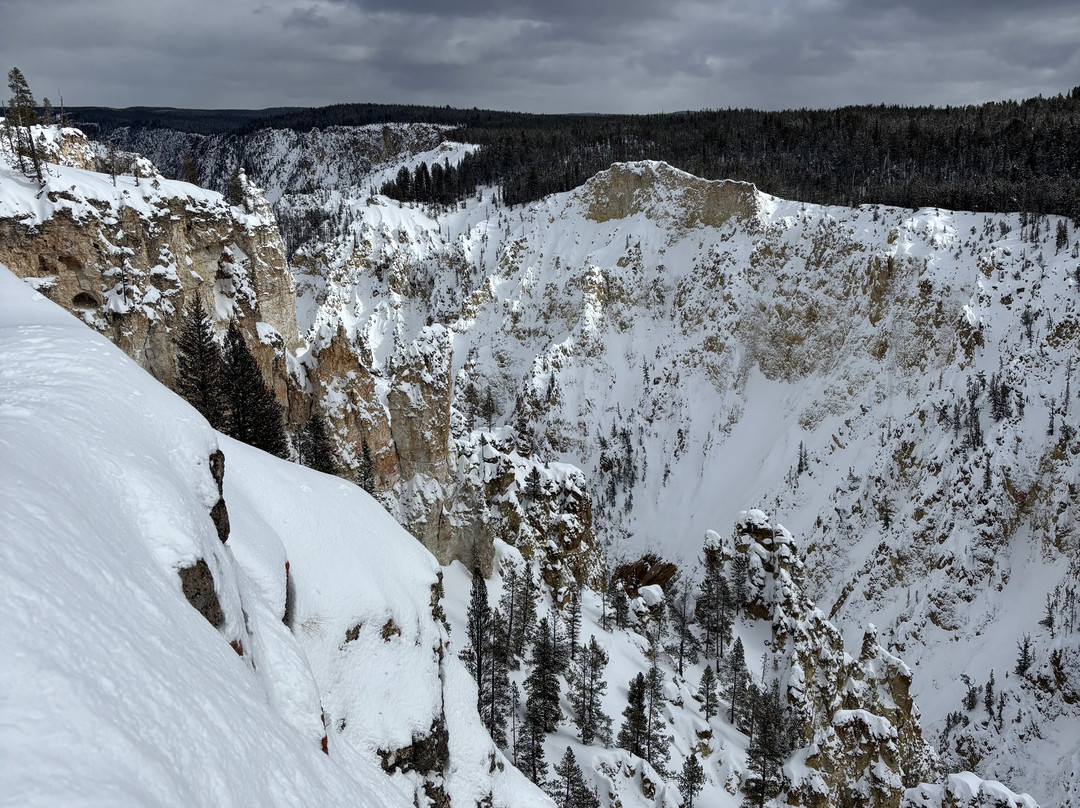 Two Top Snowmobile Rentals and Tours-西黄石镇必去景点