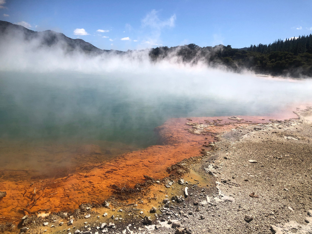Zealandier Tours-陶兰加必去景点