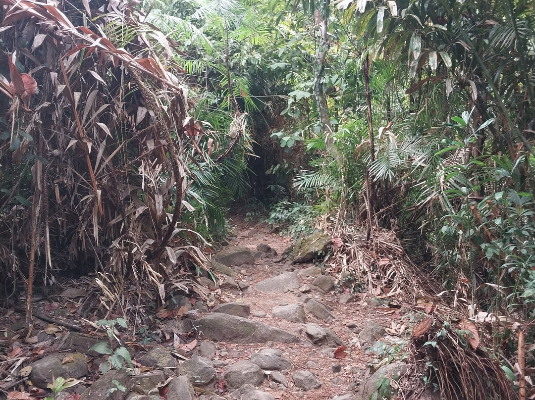 Khao Chamao Waterfall-考查貌必去景点