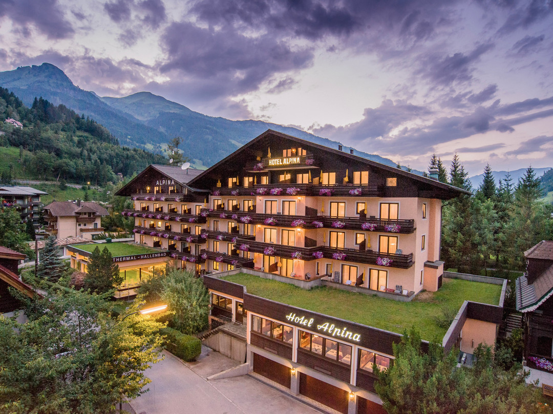 Hotel Alpina