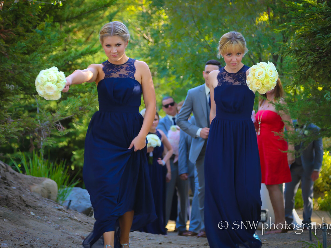 Bookshelf Winery And Venue