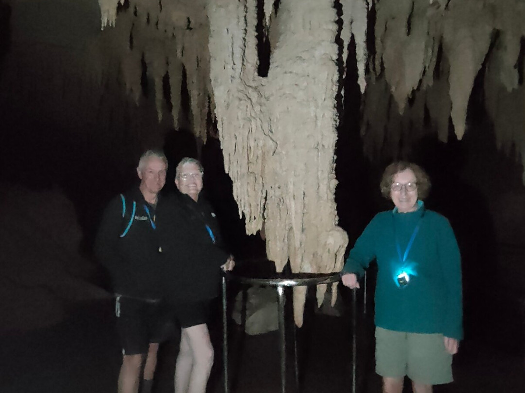 Milky Way Glowworm Cave - Waipu景点图片