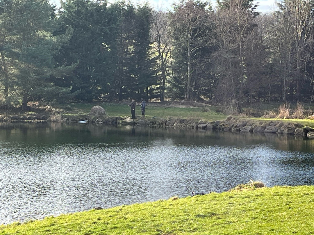 Loch Insch Fishery-Insch必去景点