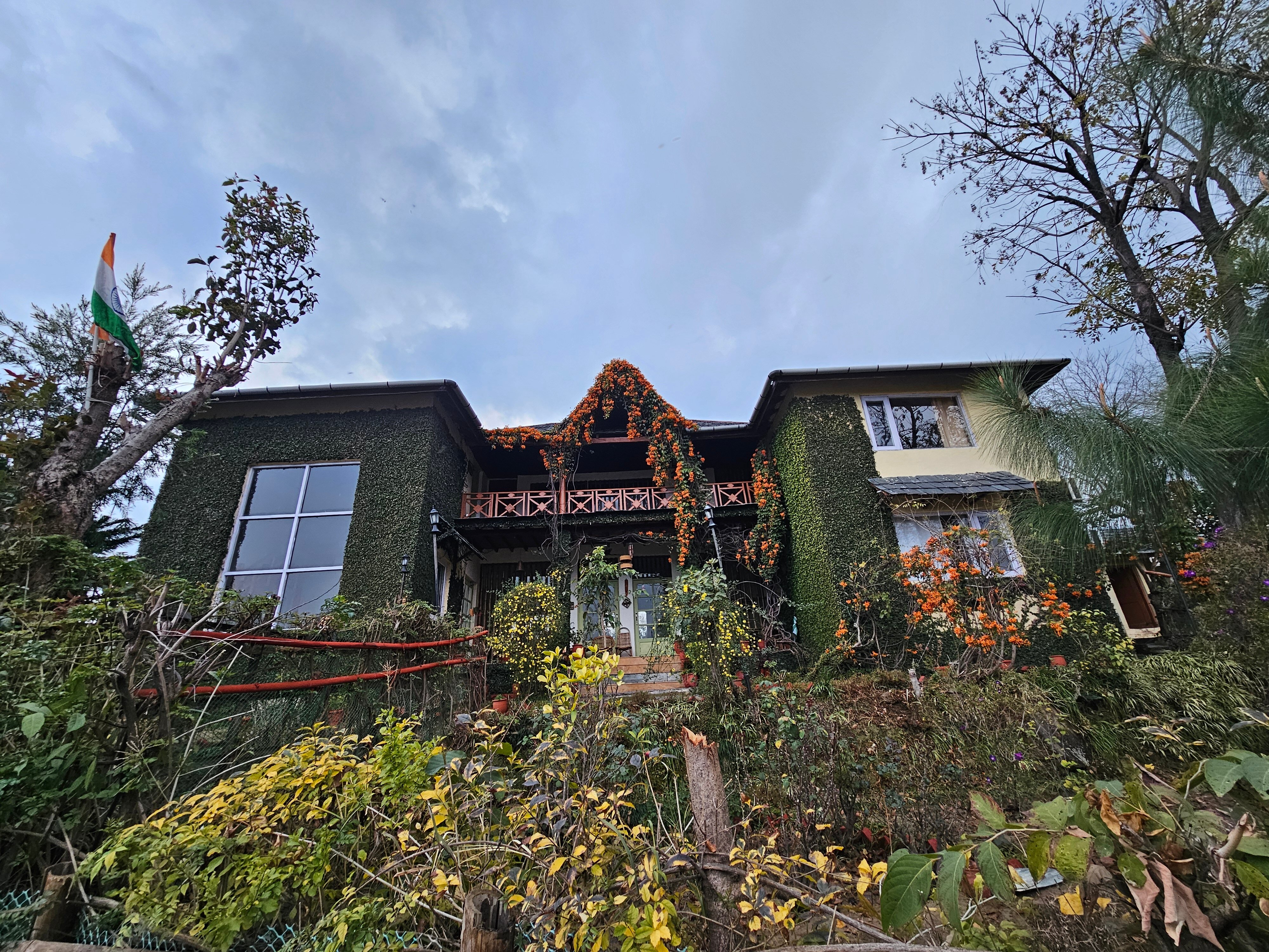 Seclude Palampur-官方