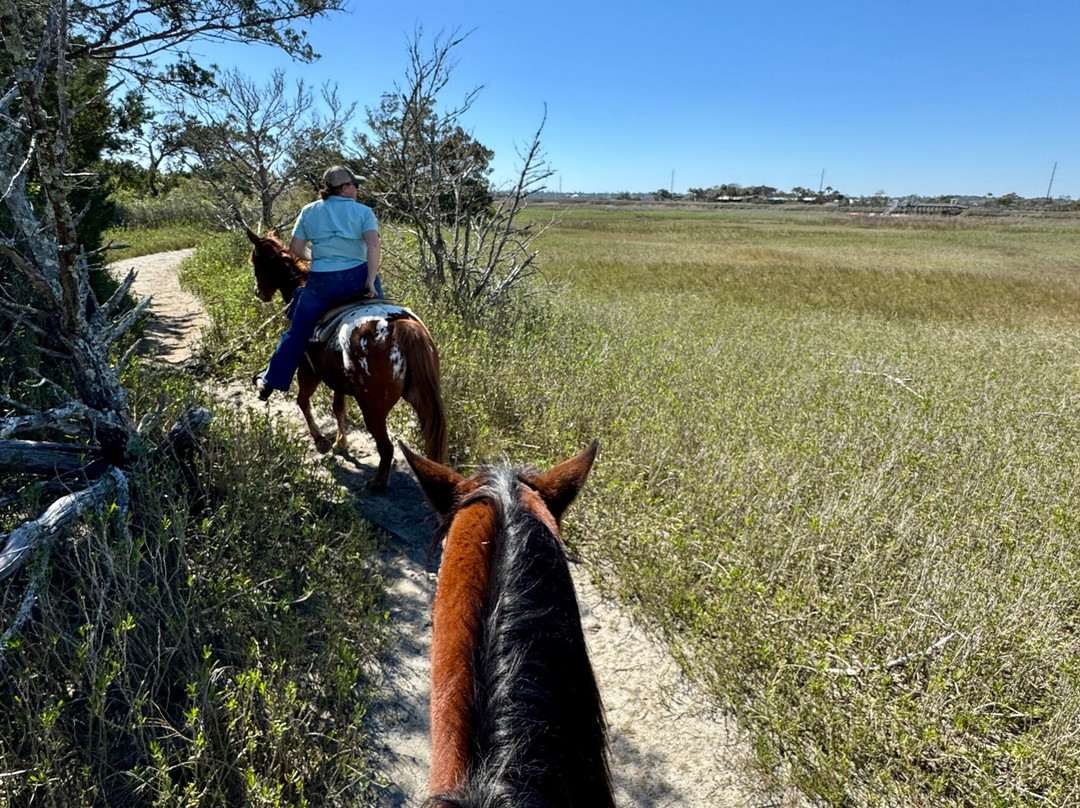 The Stables at Frederica,-圣西蒙斯岛必去景点