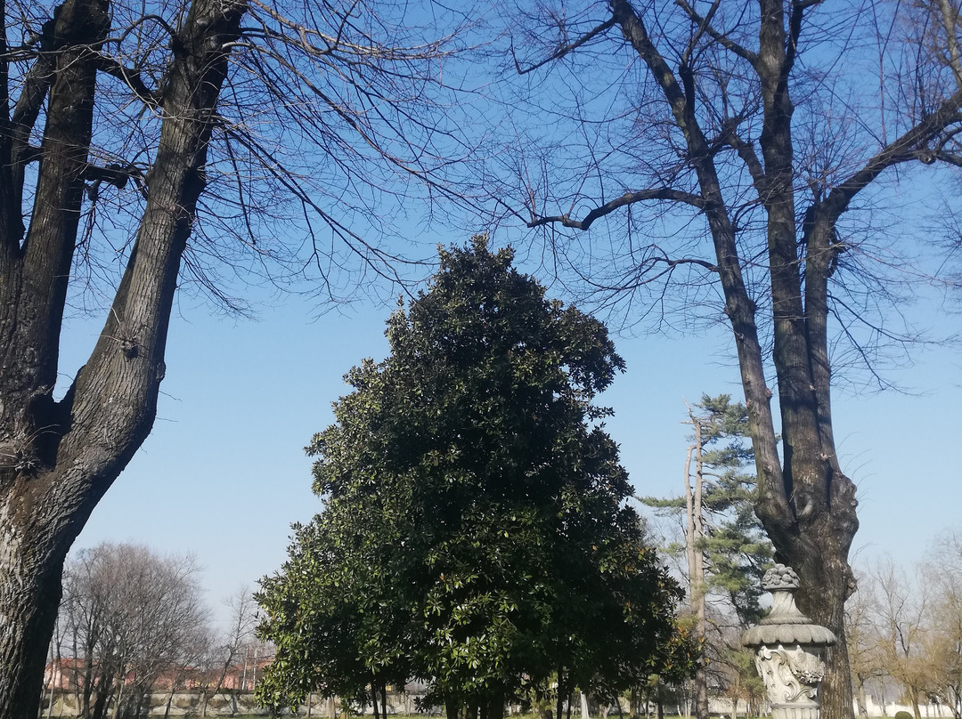 Villa Mazzotti景点图片