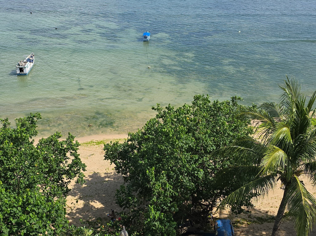 Sotis Hotel Kupang主图