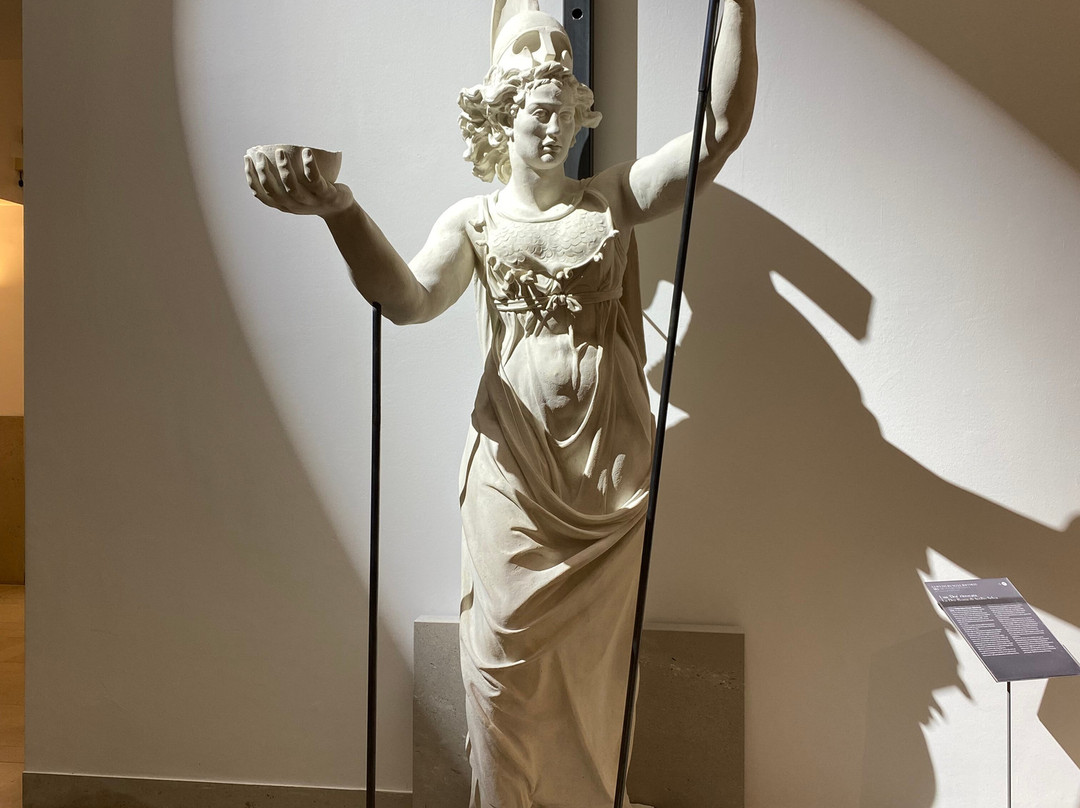 Museo Revoltella景点图片