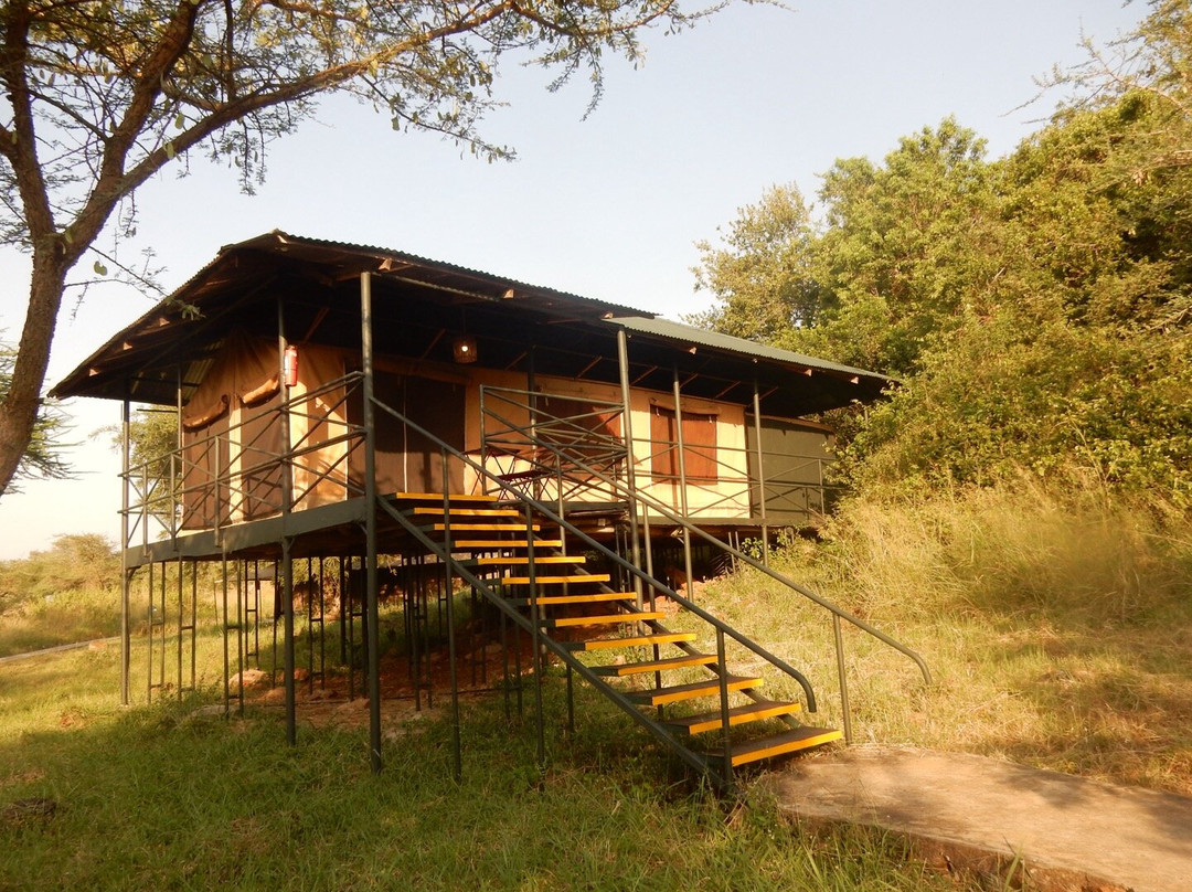 Ikoma Wild Camp主图