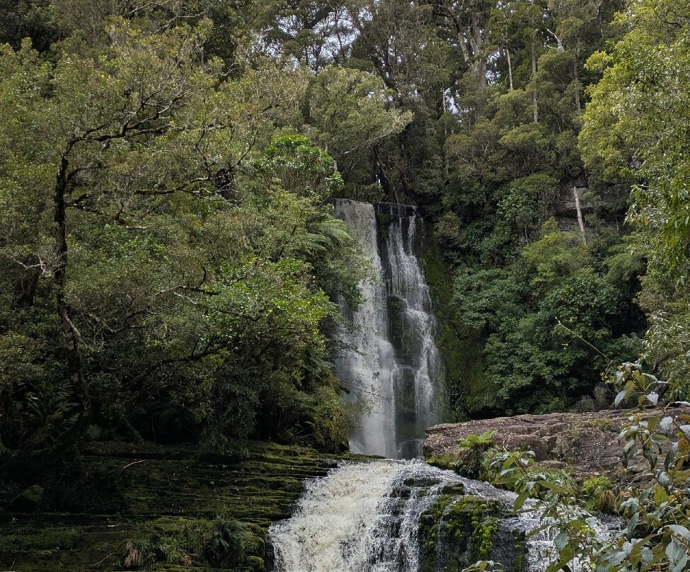 McLean Falls Walk景点图片