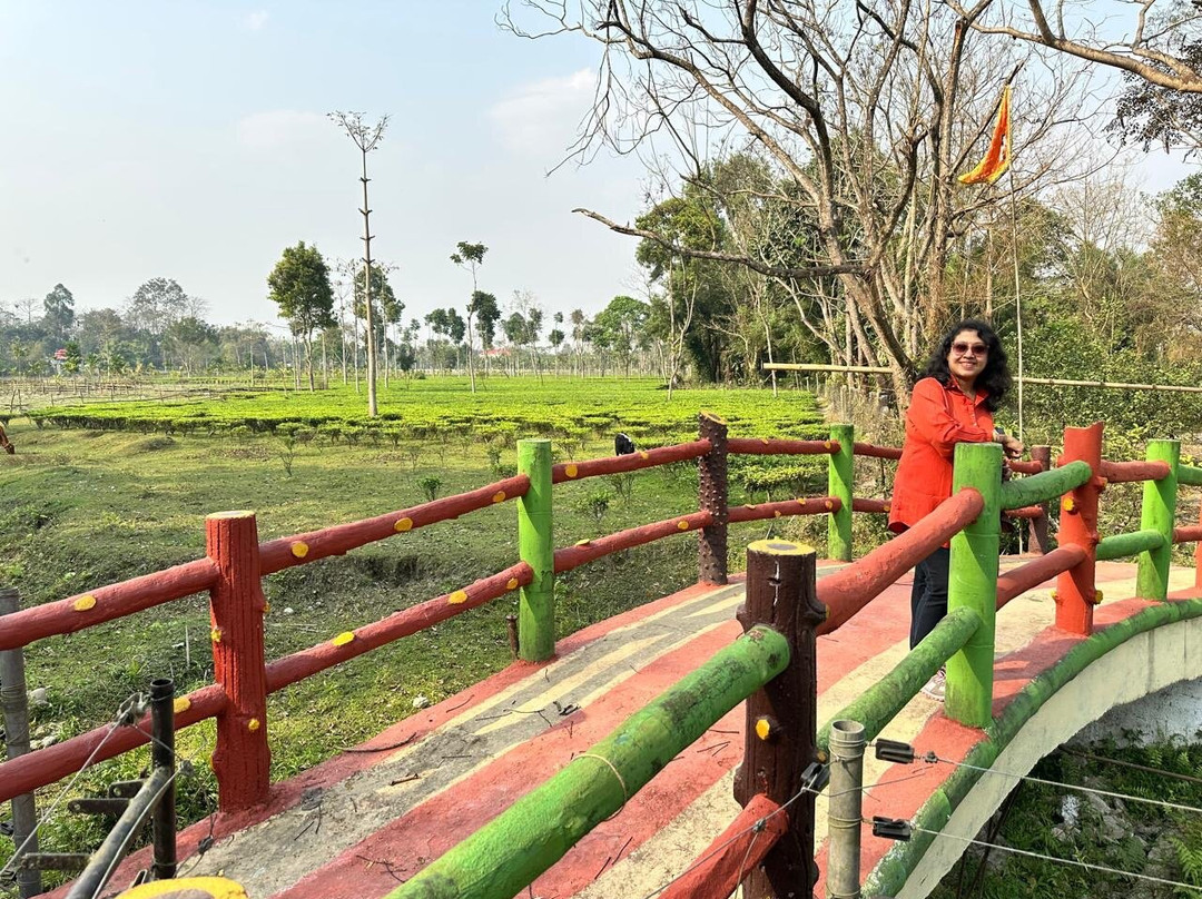 The Riverwood Forest Retreat Dooars主图