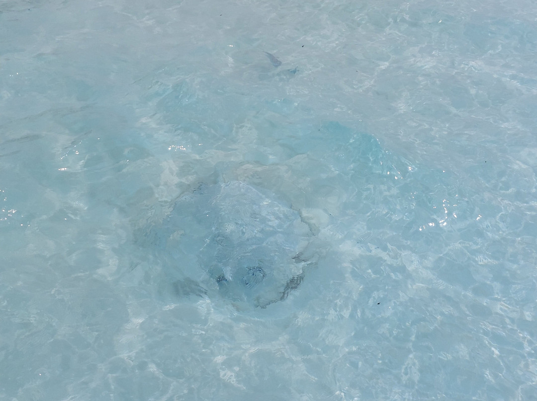 马尔代夫悦宜湾奢享酒店主图