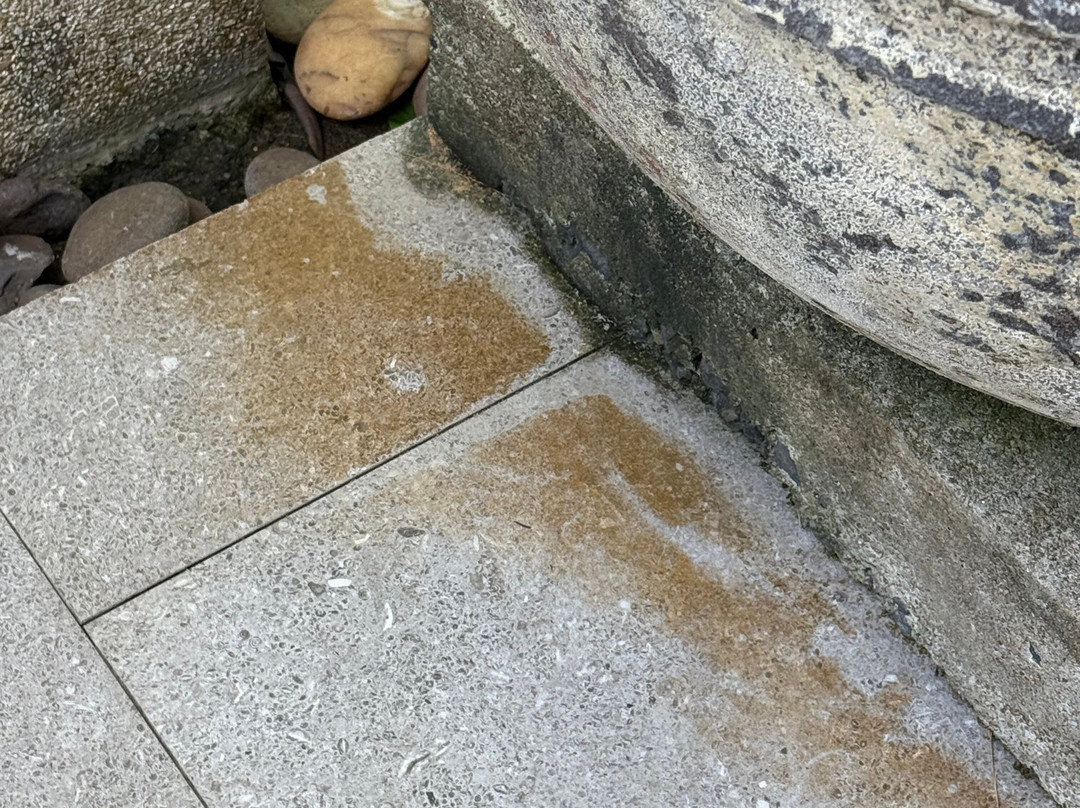 萨罗晋酒店主图