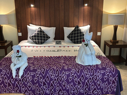 科玛内卡酒店主图