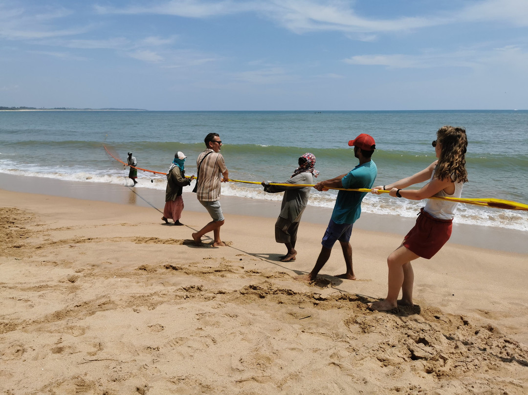 Sri Lanka Tour Guides景点图片