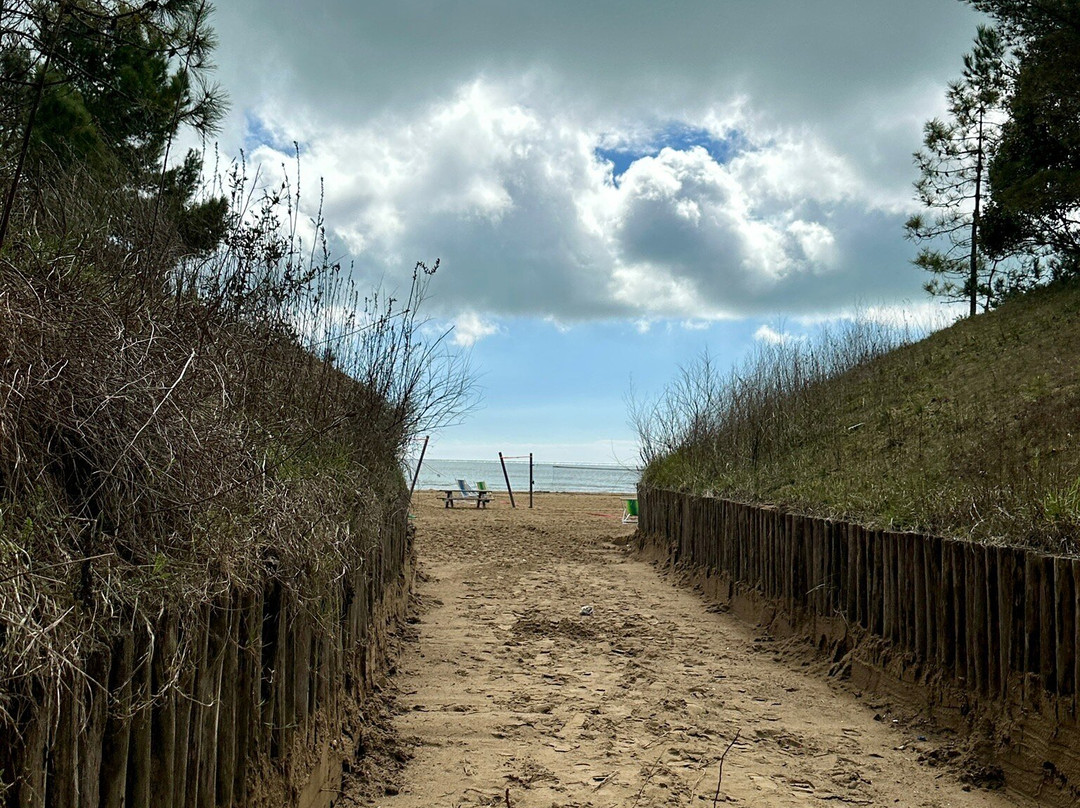 Lignano Sabbiadoro Beach景点图片