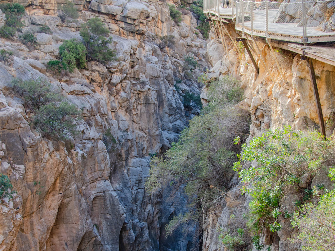 Cañón Tajo De Las Palomas景点图片