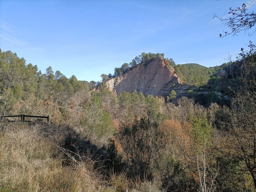 Esglèsia De Sant Joan Vell-Santa Maria d'Oló必去景点