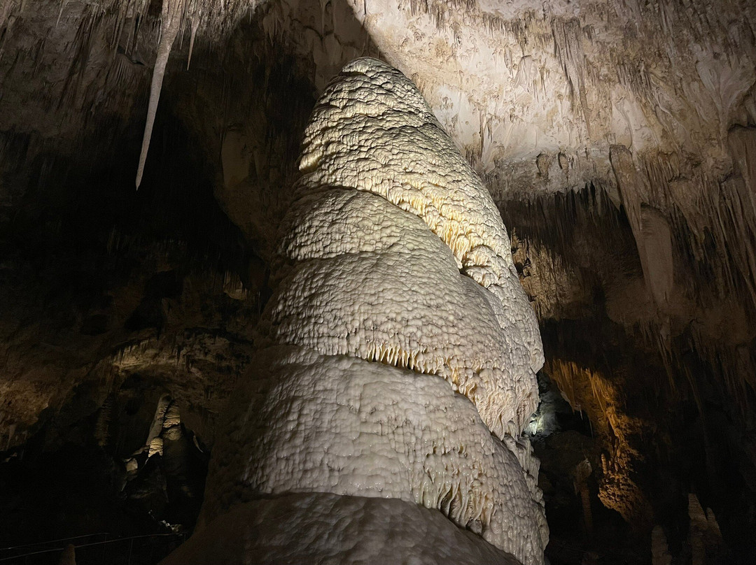 Carlsbad Caverns Natural Entrance Tour-卡尔斯巴德洞穴国家公园必去景点
