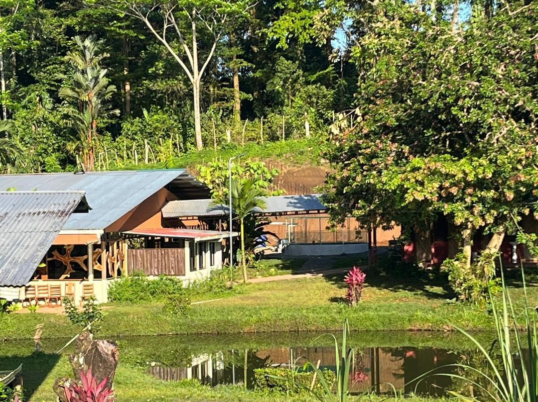 Finca Sura景点图片
