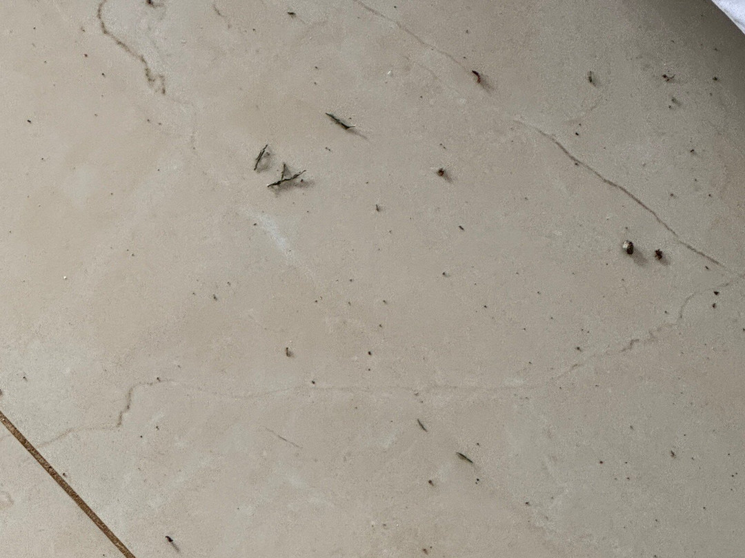 Heliconias Rainforest Lodge主图