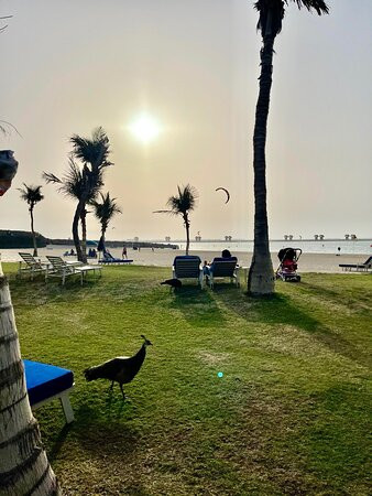 棕榈树水疗酒店主图