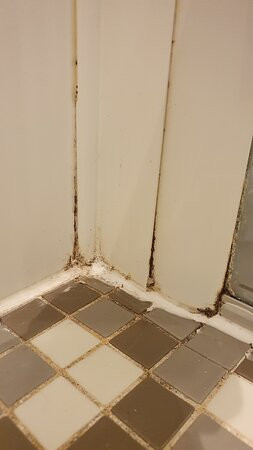 弗兰克福特涅得拉德NH酒店主图