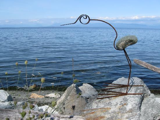 Copes' Islander Oceanfront B&B主图