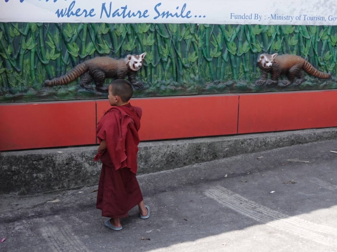 Phodong Monastery-Pelling必去景点
