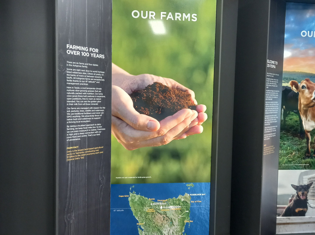 Ashgrove Cheese Dairy Door-Elizabeth Town必去景点