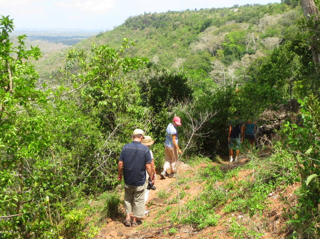 Mwaluganje Elephant Sanctuary景点图片