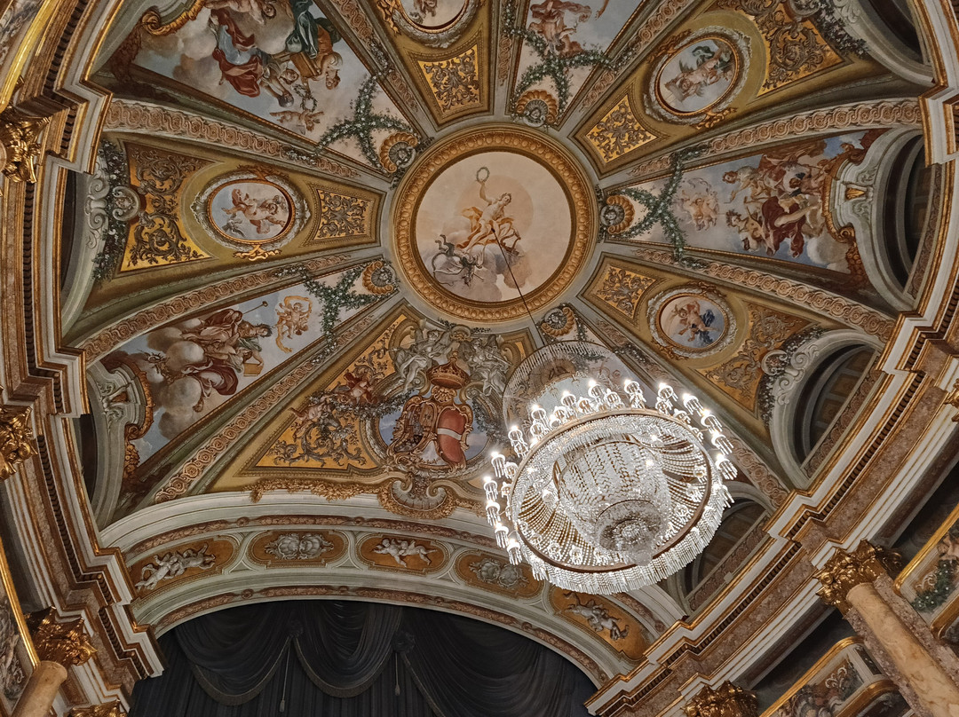 Teatro di Corte景点图片