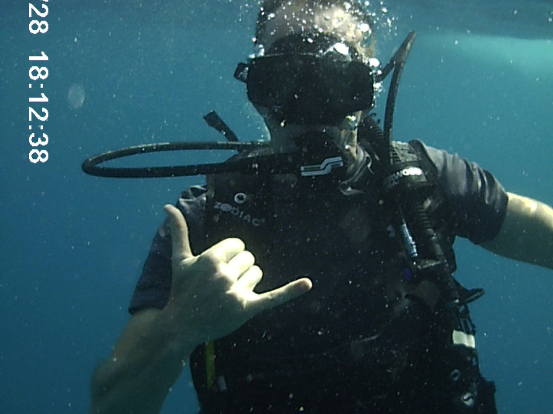 JJ Divers St Thomas-夏洛特阿马利亚必去景点