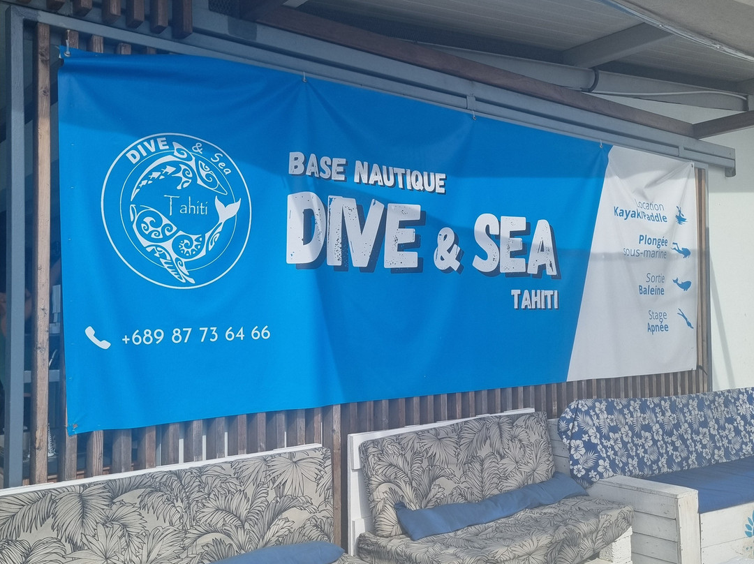 Dive and Sea Tahiti - Base nautique de Puna'auia景点图片