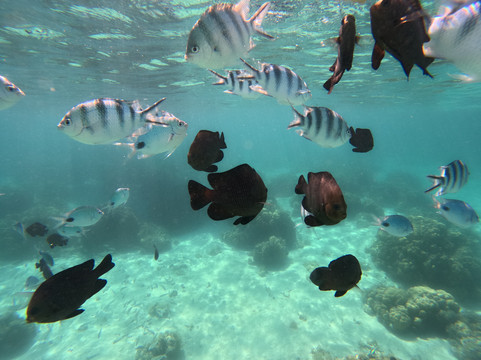 Freedom Cruises-弗力克昂弗雷克必去景点