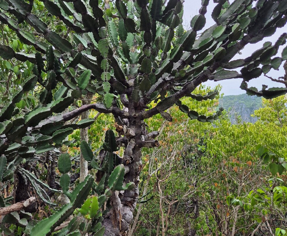 普兰布里河风景河之旅-华欣必去景点