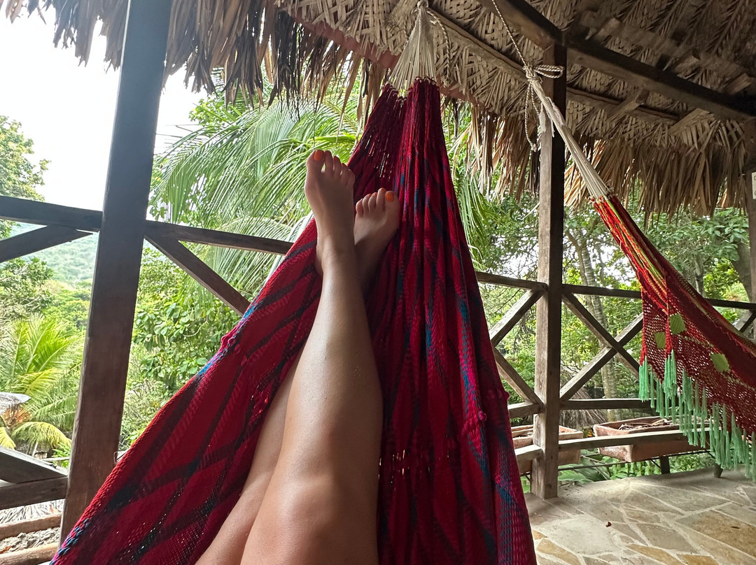 Eco Hostal Yuluka主图