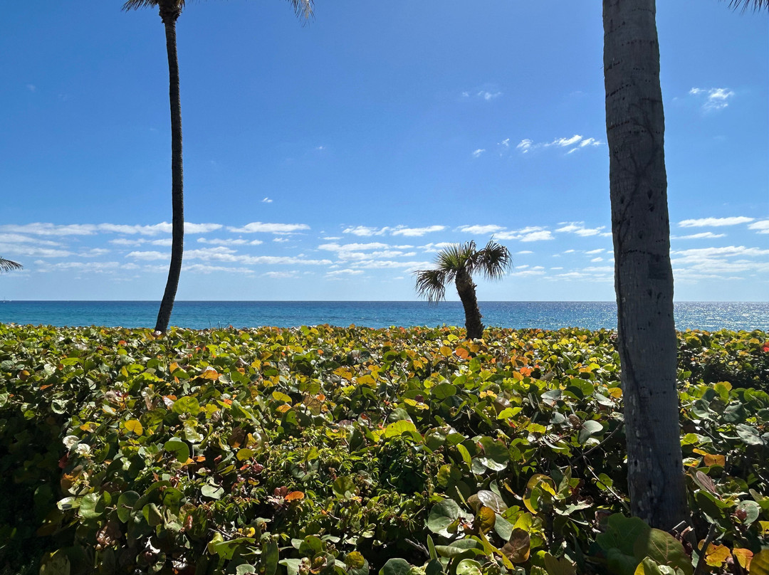 Oceanfront Park Beach-博因顿海滩必去景点