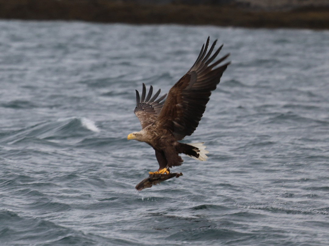 Ocean Adventures-Stykkisholmur必去景点
