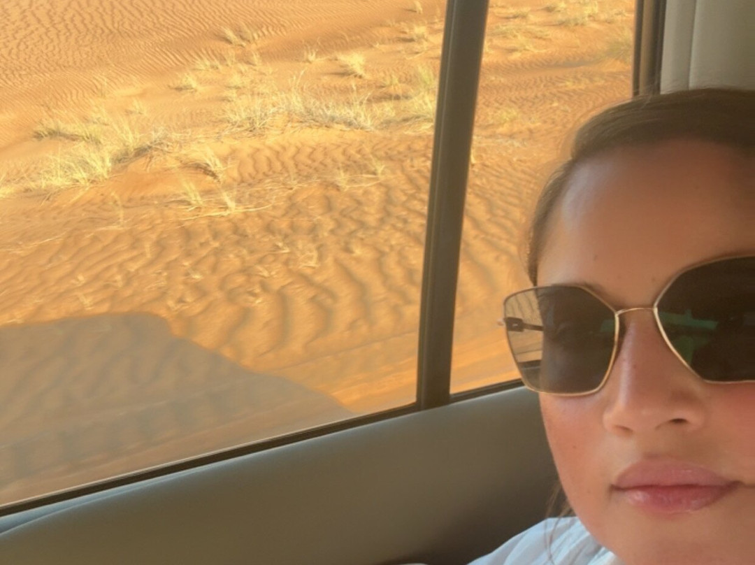 Airlane Travel & Tours-大湾必去景点